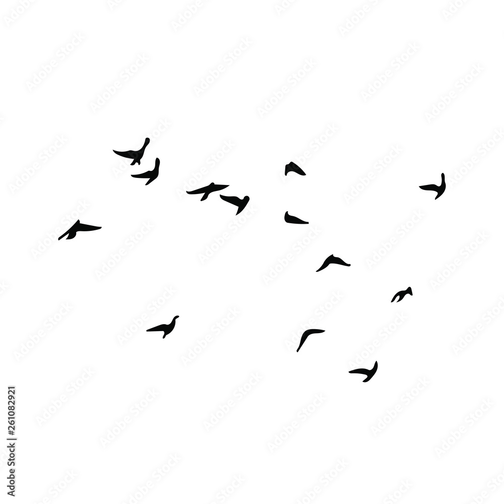 Fototapeta premium Ptaki