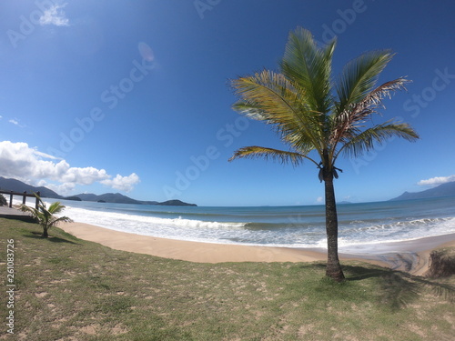 praia paisagem coqueiro céu azul mar areia photo