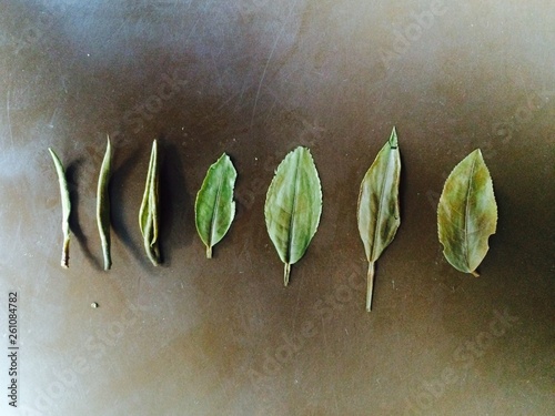 Weak tea leaves