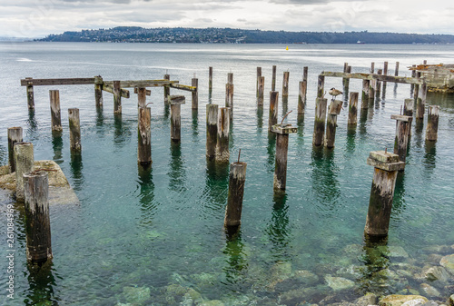 Decaying Pilings Landscape 8