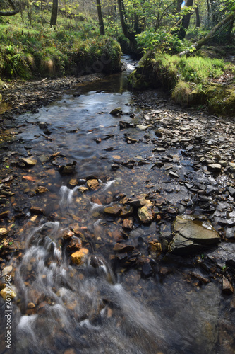 A stream within East Wood Crackington Haven Cornwall