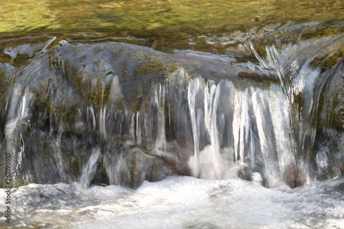 Detail of a stream within East Wood Crackington Haven Cornwall