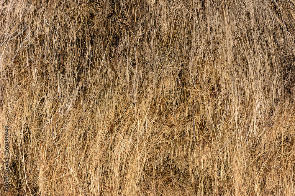 Closeup of a yellow golden straw bale showing texture and looses straws Closeup of a yellow golden straw bale showing texture and looses straws