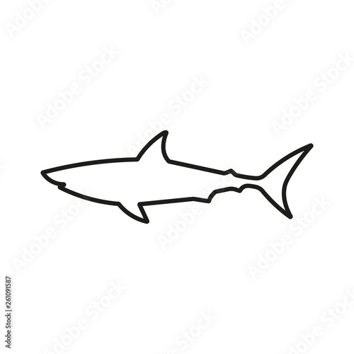 Shark icon. Line style. Vector.