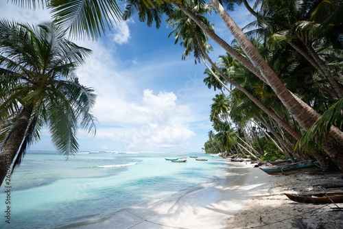 Beach with palm trees on island in West Sumatra