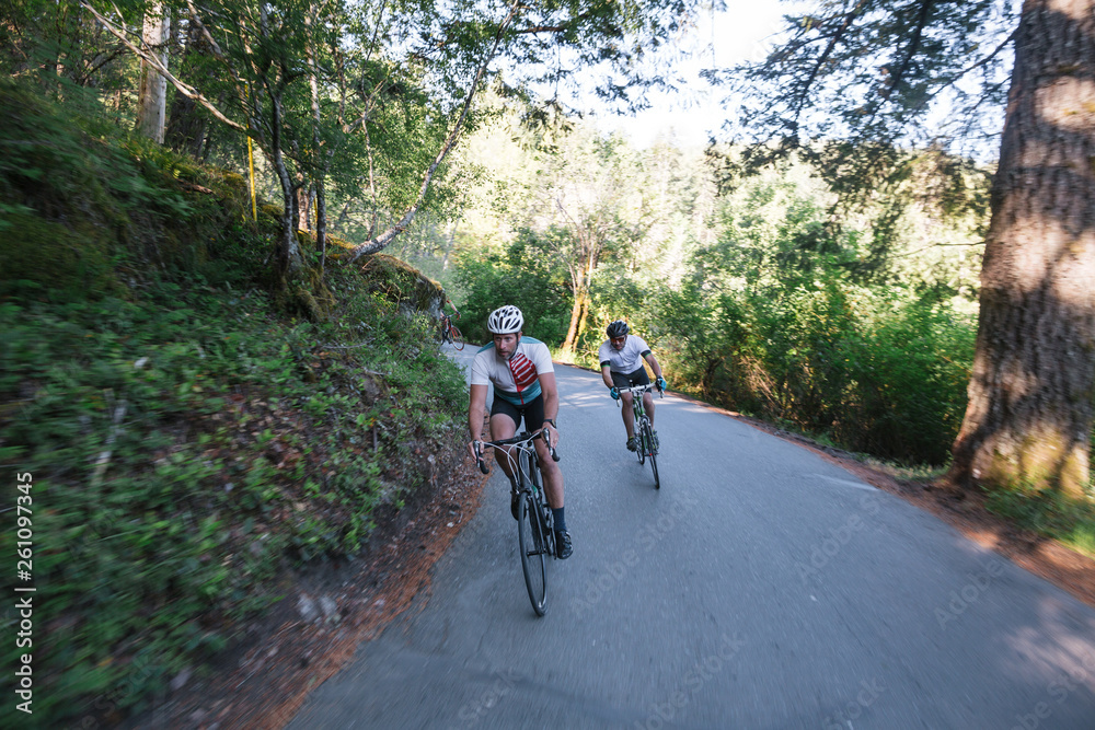 Group road bike ride in nature Group road bike ride in nature
