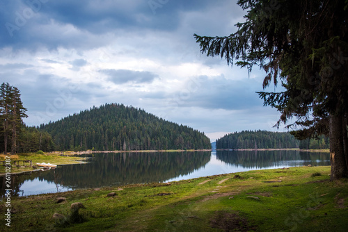 A beautiful waterscape - an artificial lake in Bulgaria (Beglika lake) and a beautiful green forest in the summer. Bulgarian nature photo