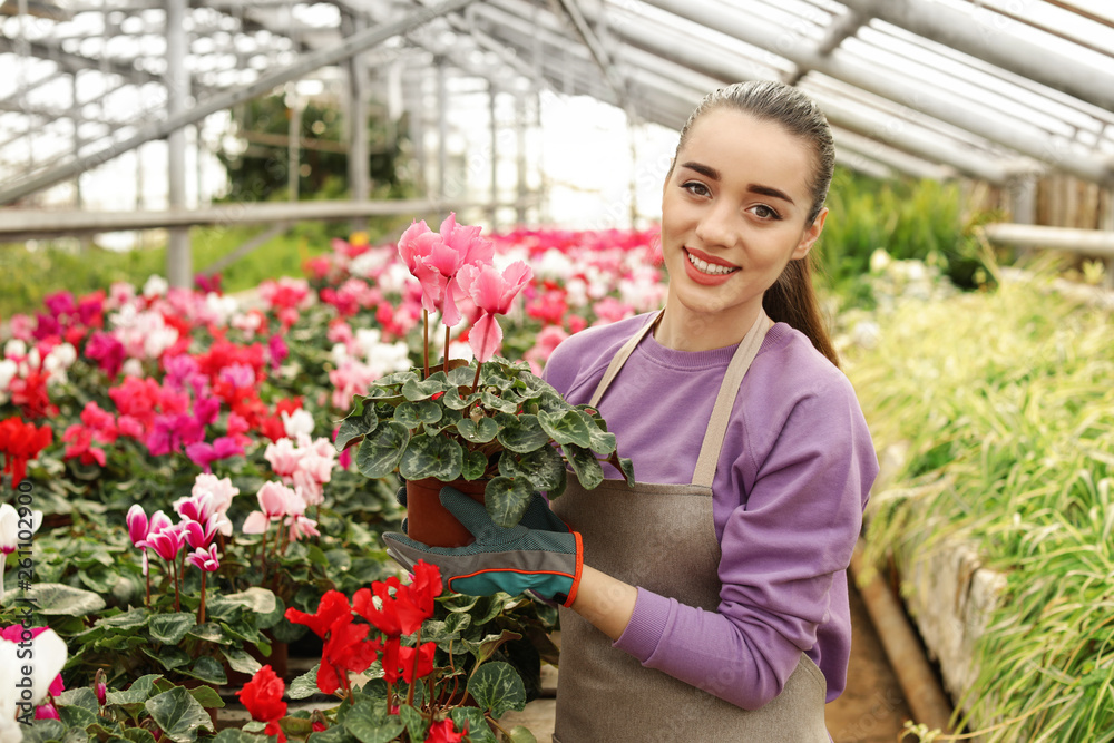 Young woman holding pot with blooming flower in greenhouse. Home gardening