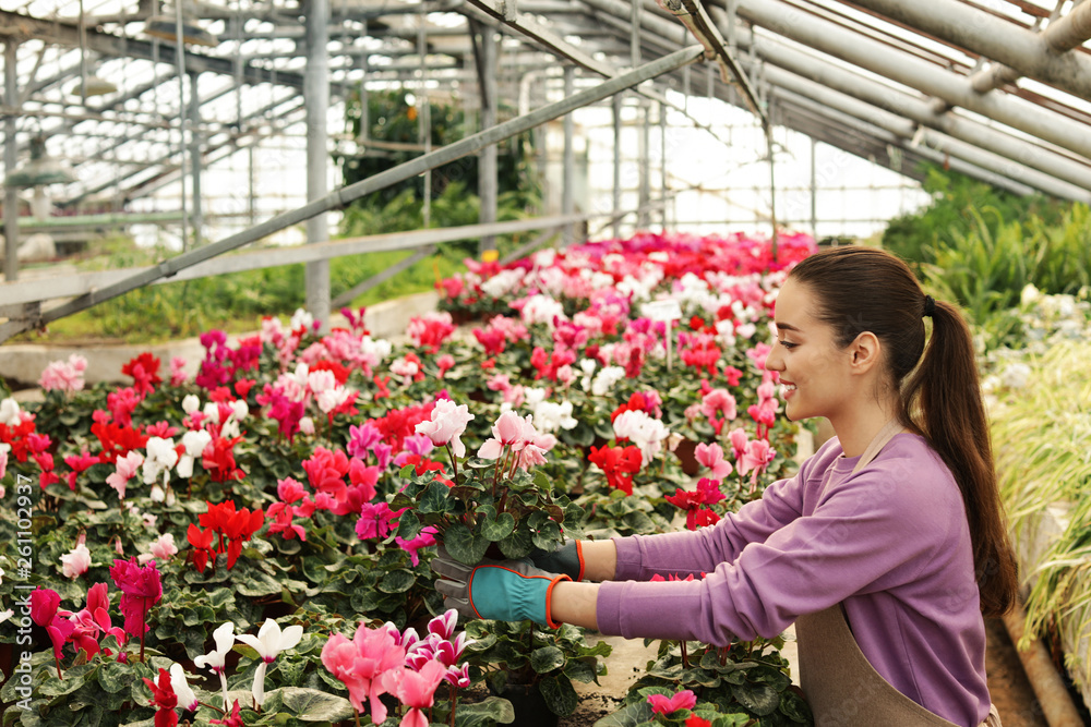 Young woman taking care of flowers in greenhouse. Home gardening