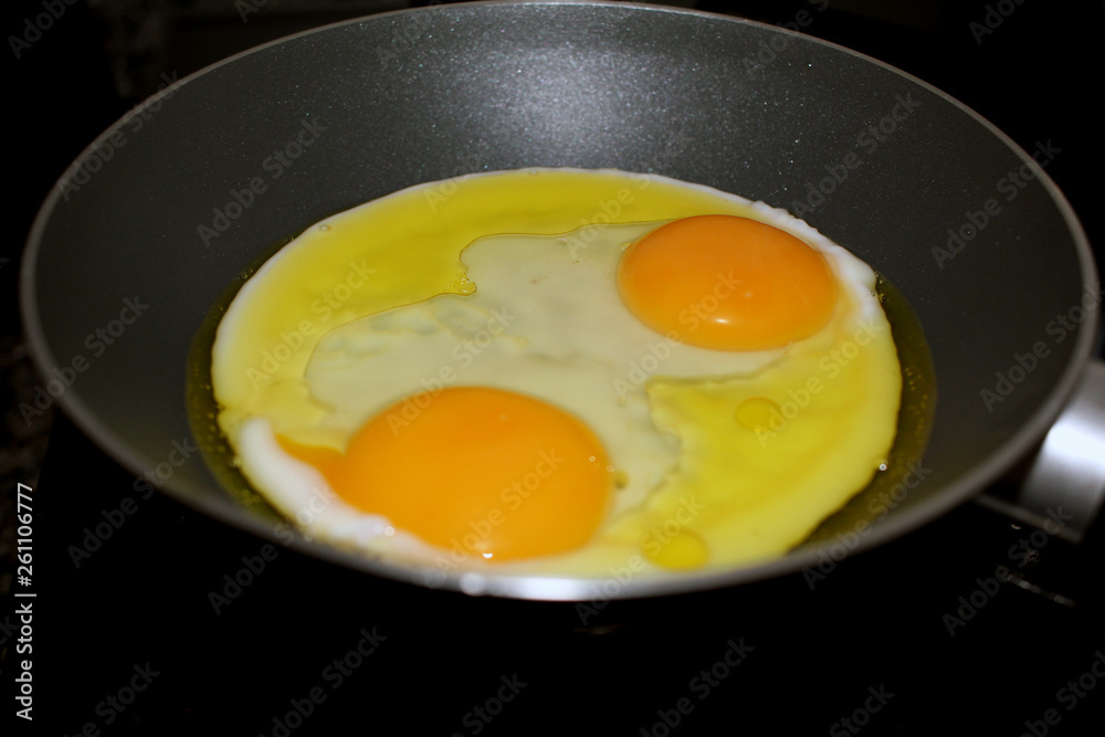 Egg an excellent food to balance the feed Egg an excellent food to balance the feed