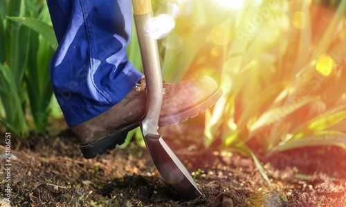 Garden dig soil agriculture shovel image worker