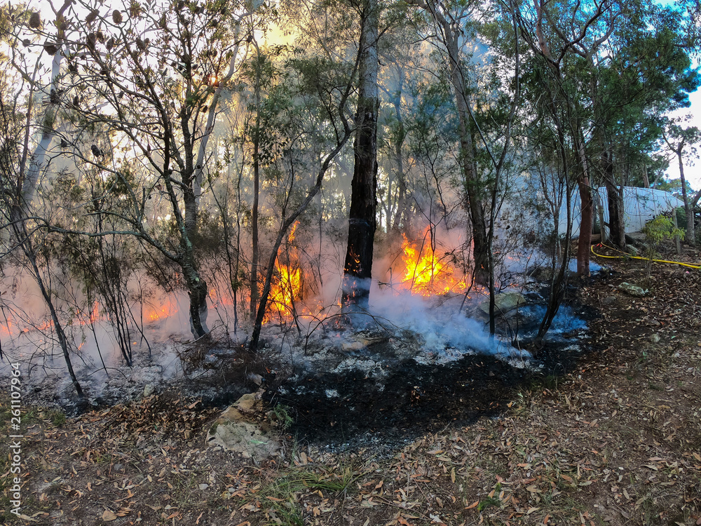 Organised Fire Service back burning to prevent bush fires in the mountains. Organised Fire Service back burning to prevent bush fires in the mountains.