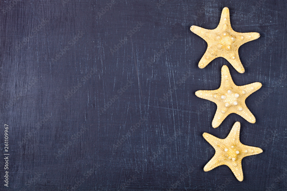 Top view of three starfish on black background. Top view of three starfish on black background.