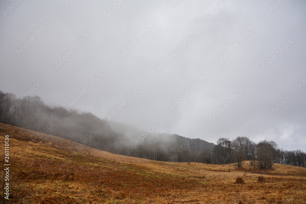 Misty mountains landscape in the morning