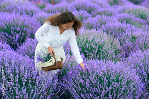 Fototapeta Naklejka Na Ścianę i Meble -  young woman is in the lavender flower field, beautiful summer landscape