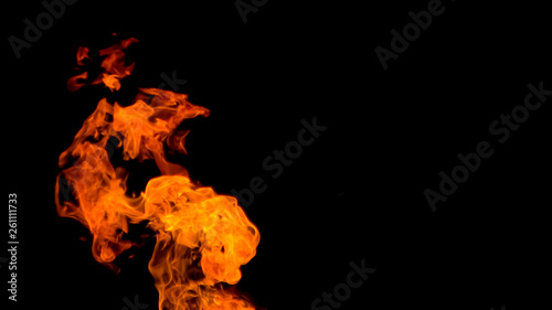 Dragon-shaped fire. Fire in the form of a dragon. Fire flames on black background. fire on black background isolated. fire patterns.