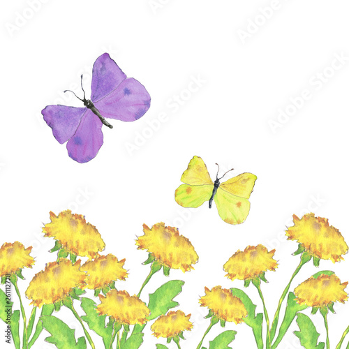 Flying butterflies and dandelions