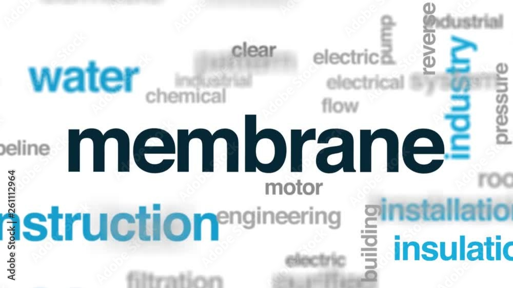 Membrane animated word cloud. Kinetic typography. Membrane animated word cloud. Kinetic typography.