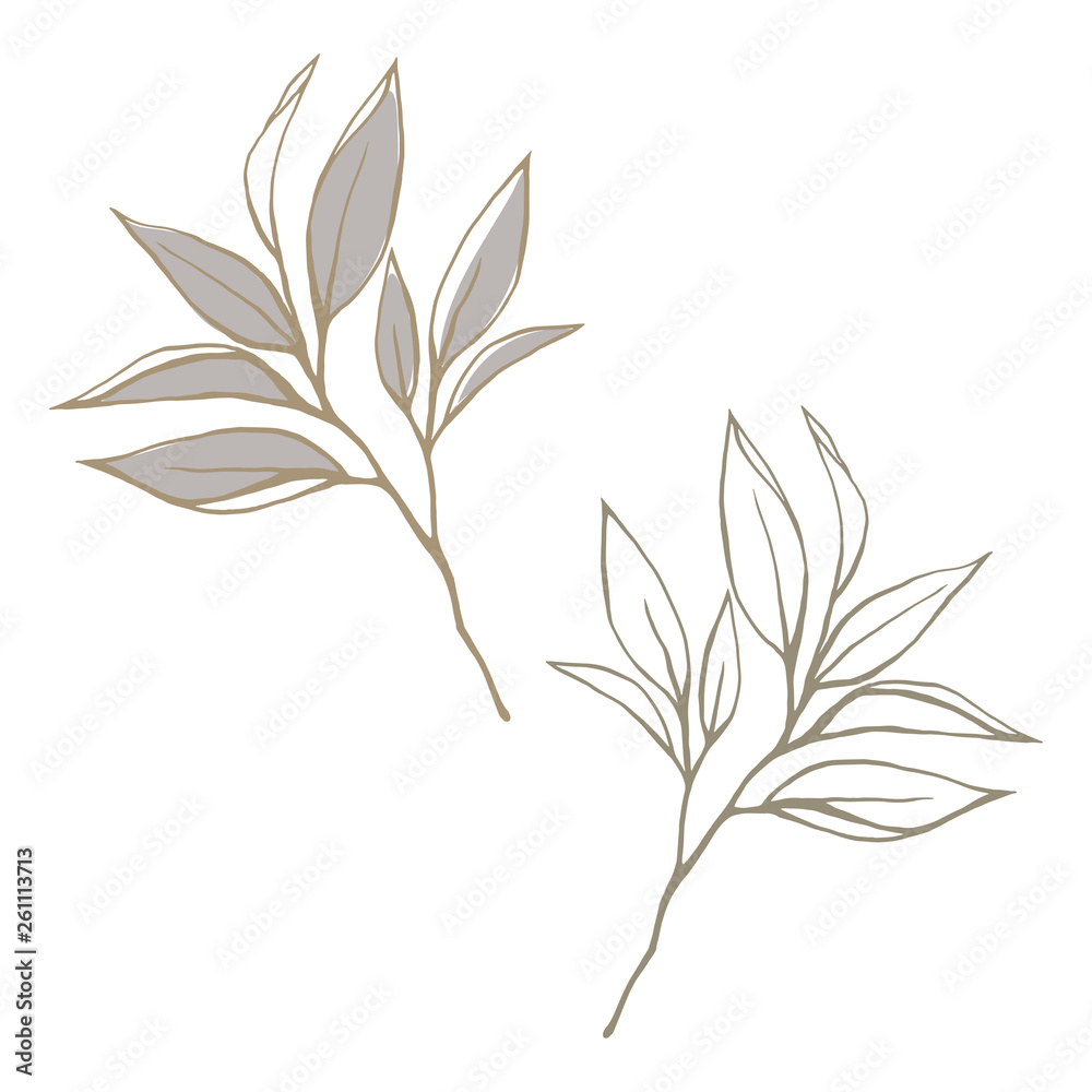 Set of tea branches in hand drawn style. Tea leaves isolated on white background Set of tea branches in hand drawn style. Tea leaves isolated on white background