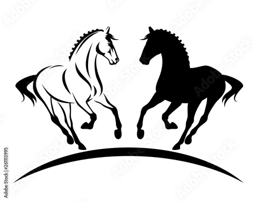 beautiful thoroughbred horse with braided mane black and white vector silhouette and outline