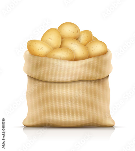 Burlap sack with potatos. Housekeeping and agriculture equipment. Open hessian bag for potato. Food ingredient. Natural product. Isolated white background. Eps10 vector illustration.