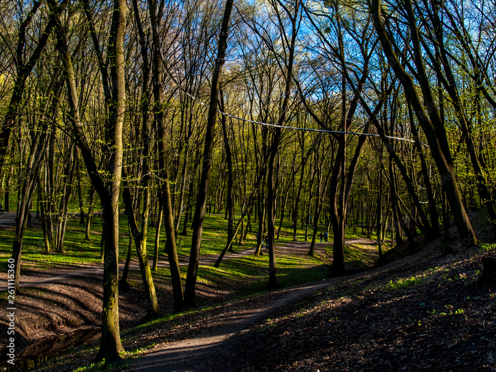 Fototapeta premium Spring Goloseevsky Park