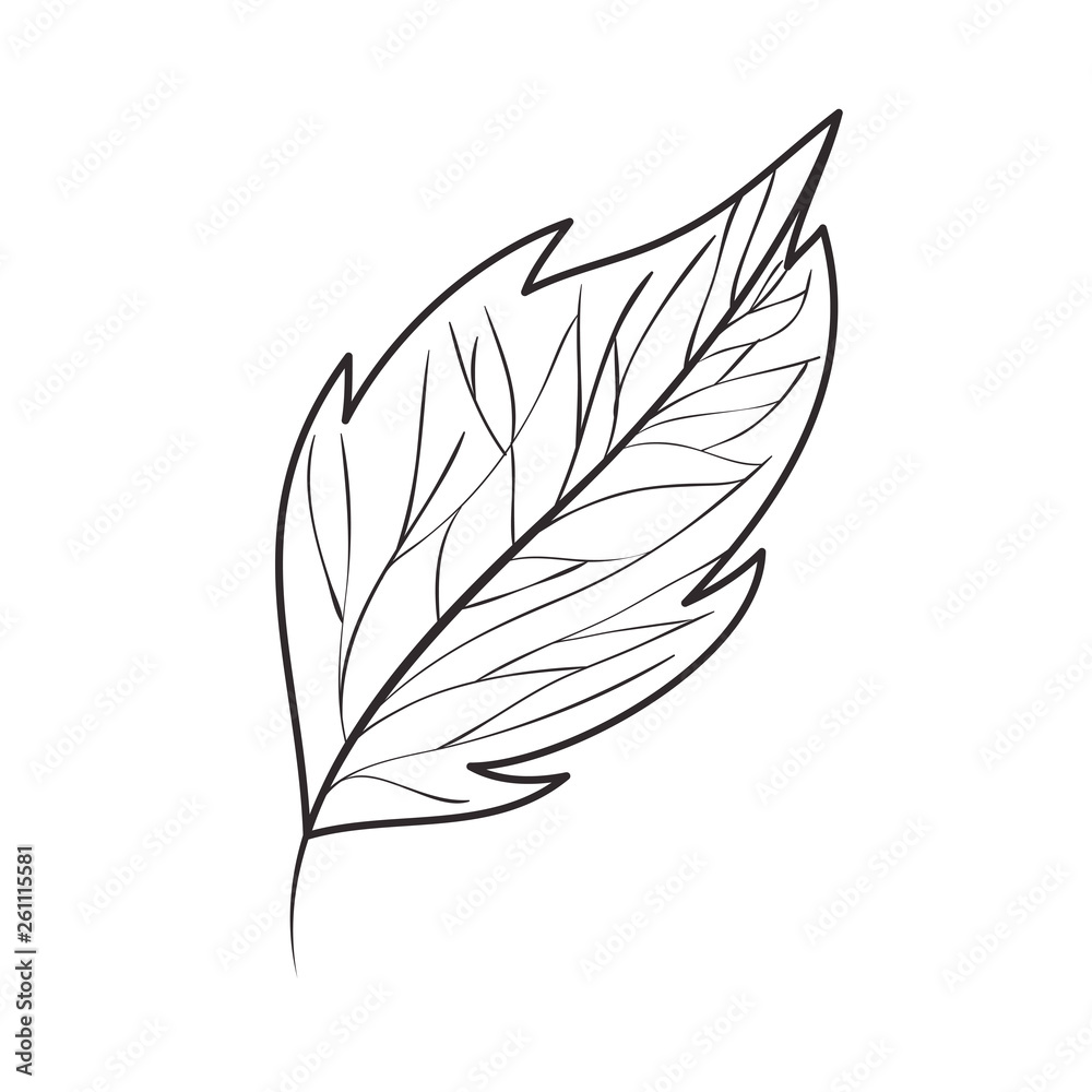 Obraz premium branch with leaf isolated icon