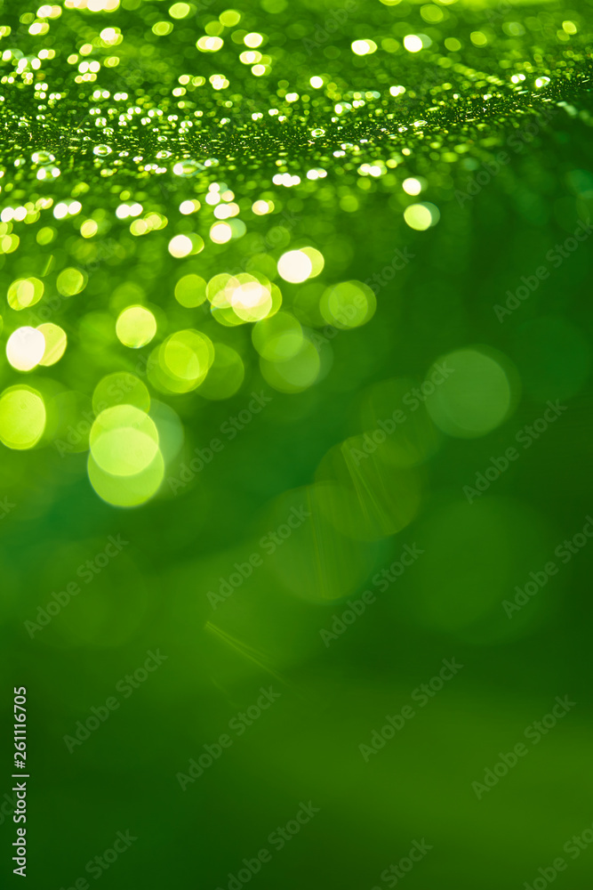 Obraz premium green blur background