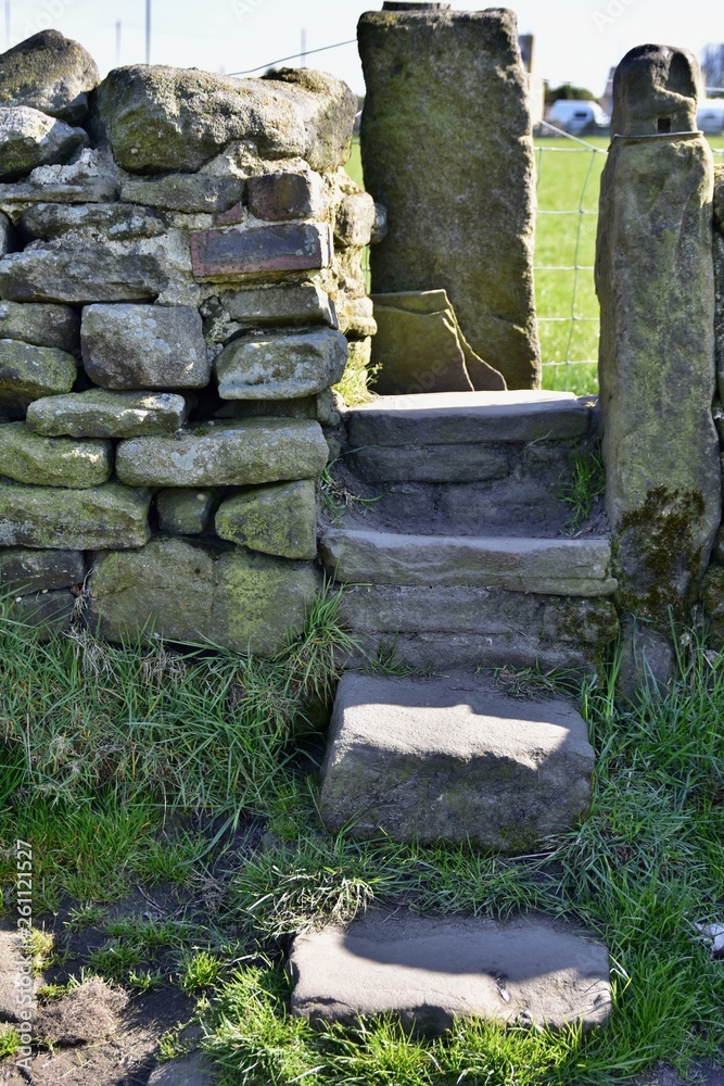 Fototapeta premium Stone steps on footpath