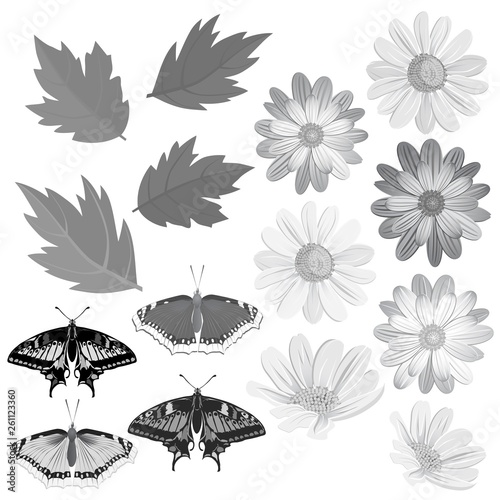 Flowers  leaves and butterflies in gray tone.