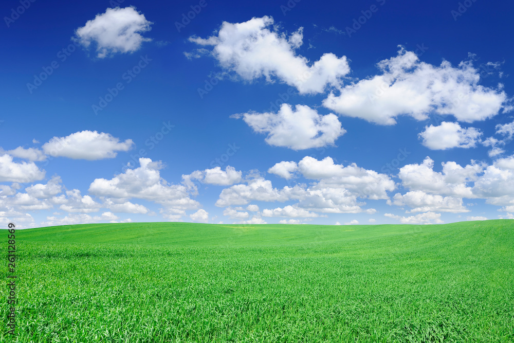 Idyllic view, green field and the blue sky with white clouds Idyllic view, green field and the blue sky with white clouds
