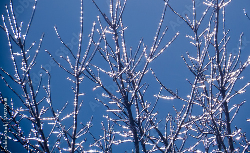Tree branches completely frosted reflecting the bright sunlight during a very cold morning of winter 2018-2019.