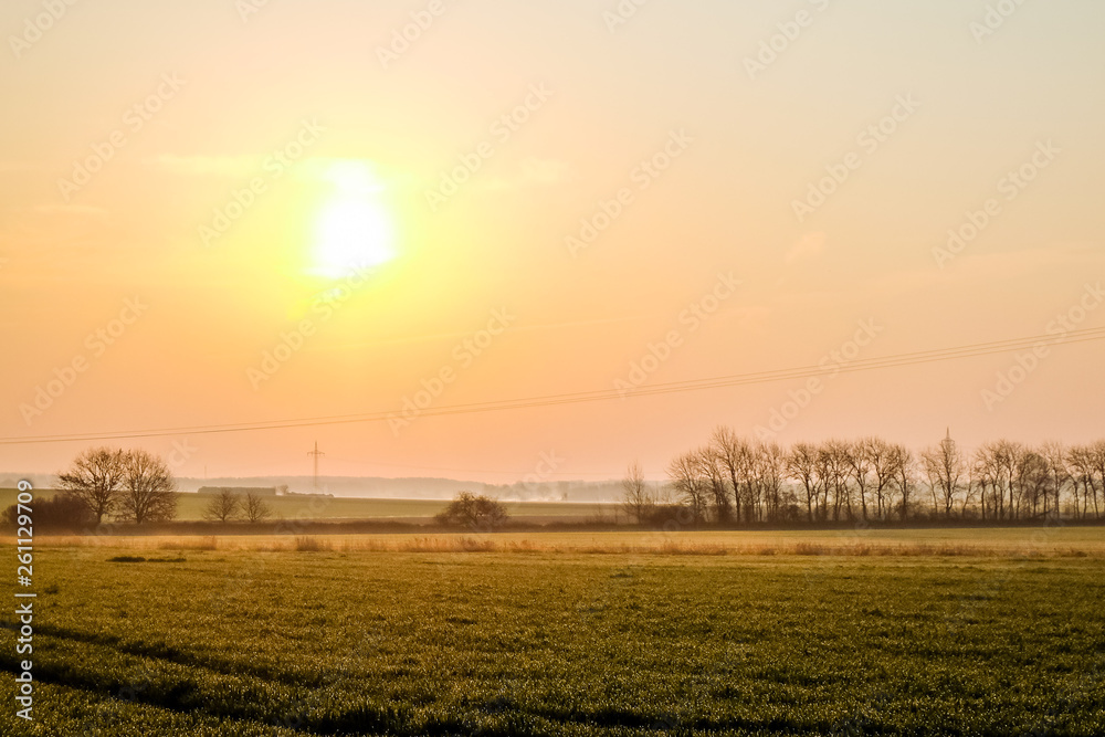 Sunrise over a green, foggy field Sunrise over a green, foggy field