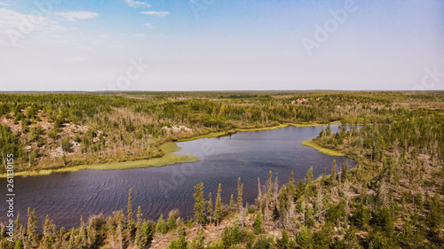 Wild lake landscape