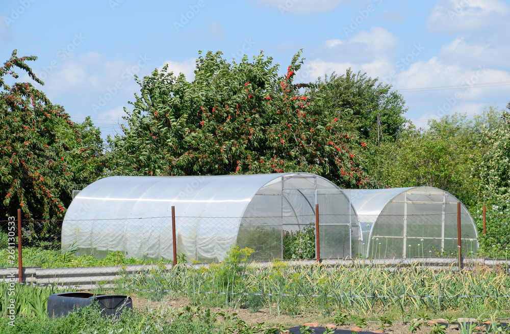 Greenhouse polycarbonate in a private garden