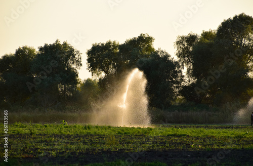 Irrigation system in field of melons. Watering the fields. Sprin