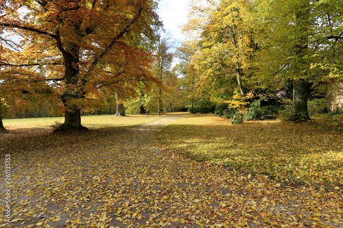 Castle Fasanerie, Park, Castle Park, Eichenzell, Hesse, Germany, Europe photo