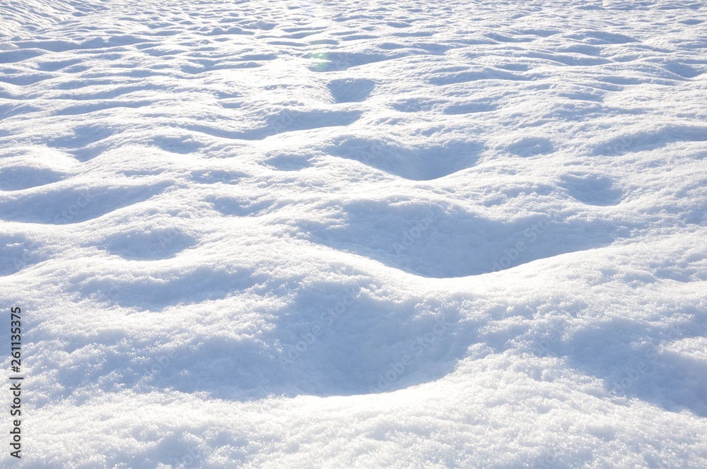 新雪つもる朝 新雪つもる朝
