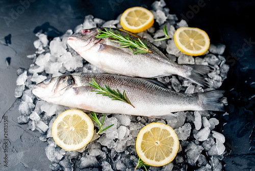 chilled raw sea bass and dorado fish with lemon and rosemary on ice, on a stone background