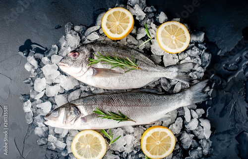 chilled raw sea bass and dorado fish with lemon and rosemary on ice, on a stone background