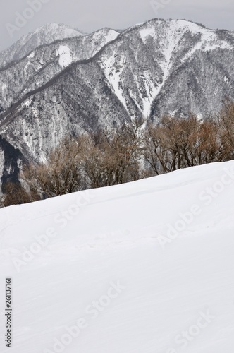 雪原に雪山 © Green Cap 55
