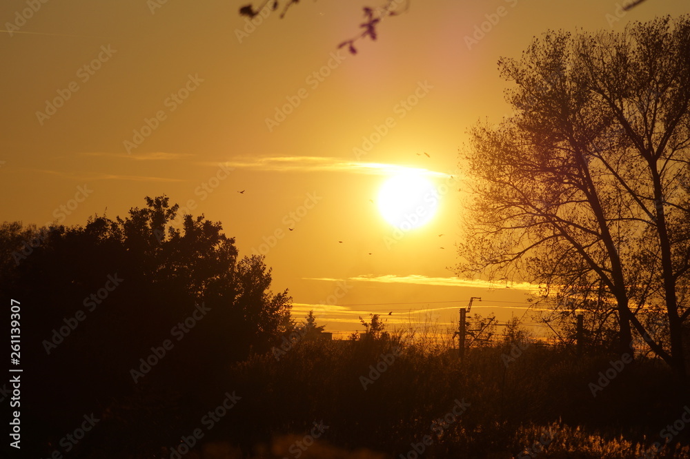 Obraz premium Zachód słońca