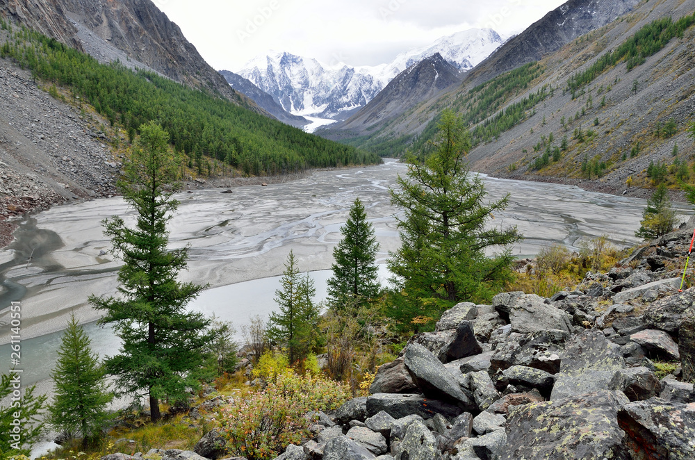 Obraz premium Russia, Altai Republic. The disappeared lake Maashey in rainy day