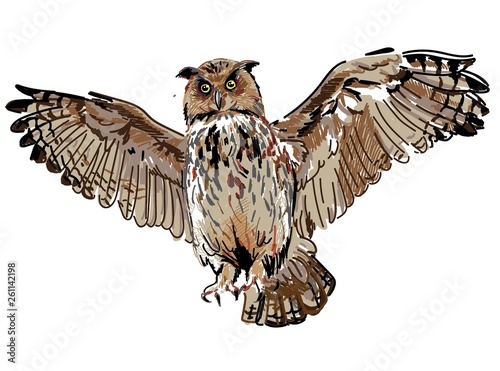Owl flies spreading its wings. Drawing by hand, drawing markers. Multicolored stylish pattern. Flying bird.