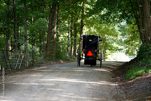 Amish Buggy on Rural Gravel Road in Ohio