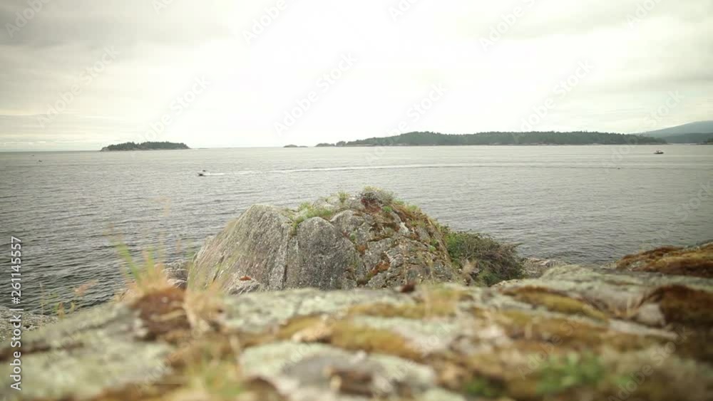 Slide Along Moss Covered Rocks Along the Ocean's Edge with a Boat Sailing By Slide Along Moss Covered Rocks Along the Ocean's Edge with a Boat Sailing By