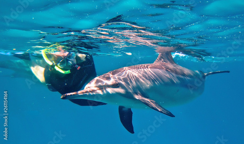 Underwater world in deep water in coral reef and plants flowers flora in blue world marine wildlife  travel nature beauty exploration in diving trip adventures recreation dive. Fish  corals  creatures