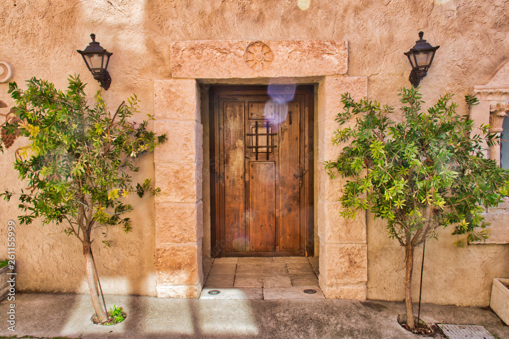 Fototapeta premium Wooden door flanked by two small trees in Roa de Duero, village of the province of Burgos, in Castilla y Leon, Spain