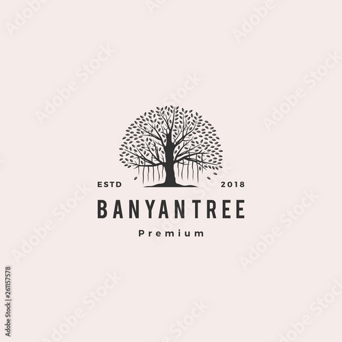 Obraz na płótnie banyan tree logo vector icon illustration