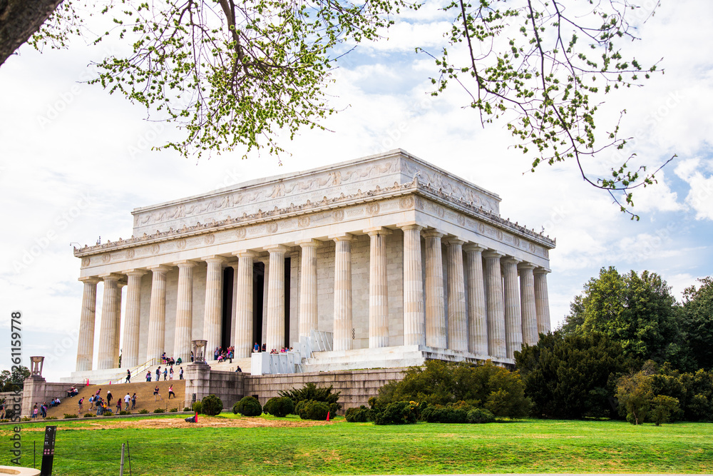 Obraz premium Washington DC, bloom Sakura